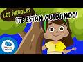 🌳CUIDA LOS ÁRBOLES: ¡Limpian el AIRE que respiras! | Vídeos Educativos para Niños |@HappyLearningES​
