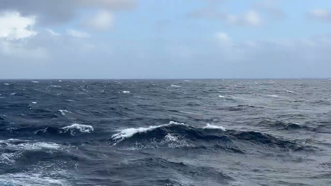 15 февраля 2026 г.