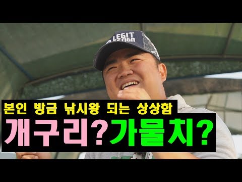 대구 왕개구리? 군산 독개구리? 원주 청개구리? 그리고 [태클박스]