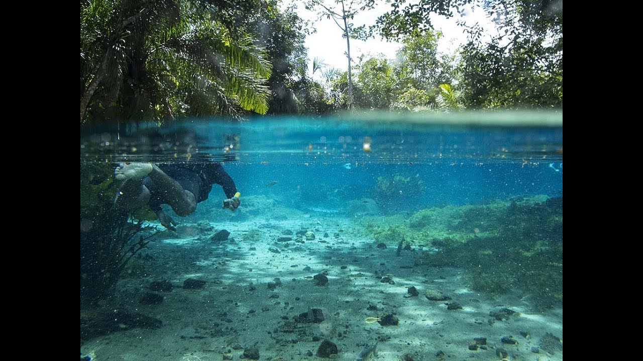 Calm river sound - 10 hours to sleep - Som de rio calmo para dormir ...