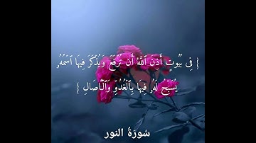 قرائه مميزة من سورة {النور} للقارئ احمد البشر