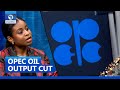 Implications Of Nigeria's Compliance To OPEC Oil Output Cut - Analyst