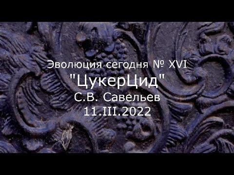 Видео: С.В. Савельев - ЦукерЦид