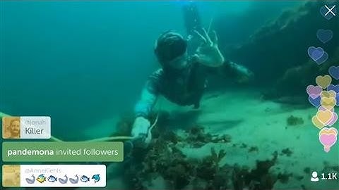 Periscope Is Launching Live-Video Search