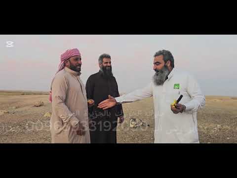 تبارك الله أحسن خلقه تسليم وختم الحلال من أبو بشاير حصرآ من مراح الاصايل عواد أبو أحمد يكفي نوادر