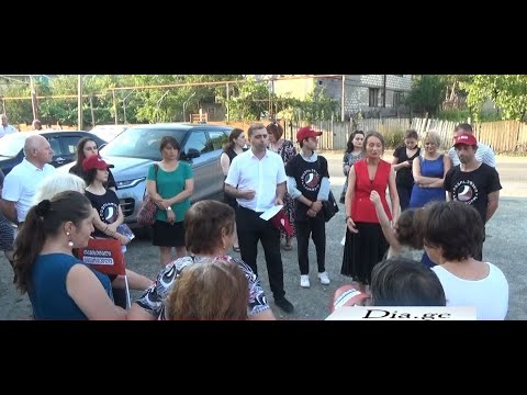 ხაშური-ქარელის მაჟორიტარულ ოლქში ,,თავისუფალმა საქართველომ“ კანდიდატი წარადგინა 20.07.2020