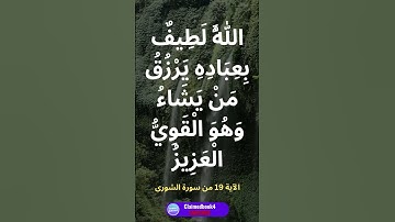 الله لطيف بعباده يرزق من يشاء وهو القوي العزيز | الآية 19 من سورة الشورى