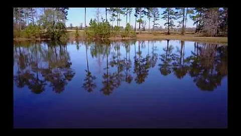 Leonard Pond