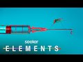 Malaria and Vaccine Development Quiz