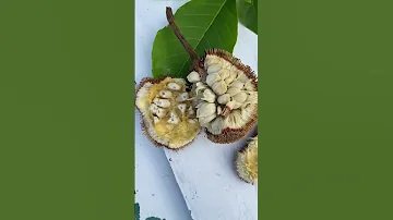 Пробуем экзотику 😋 маранг