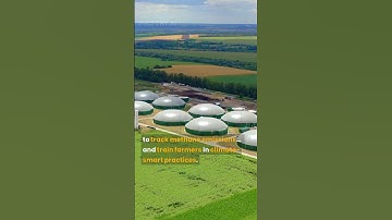 Rice Farming Heats the Planet 82× Faster Than CO₂ — AI Has a Solution