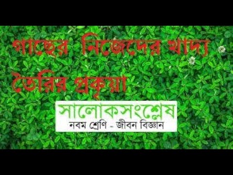 ভিডিও: অক্সিজেনিক সালোকসংশ্লেষণে পানি হয়?