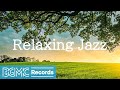 Warm June Calming Jazz Piano Music