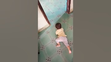 khi em nó biết bò 😅#shorts #nguyễn #travel || Nguyễn Travel