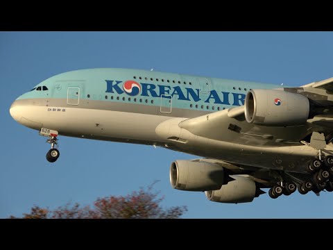 航空機・ヘリコプター Korean Air A380 HL7380 航空機・ヘリコプター Korean Air A380 HL7380 Korean Air's
