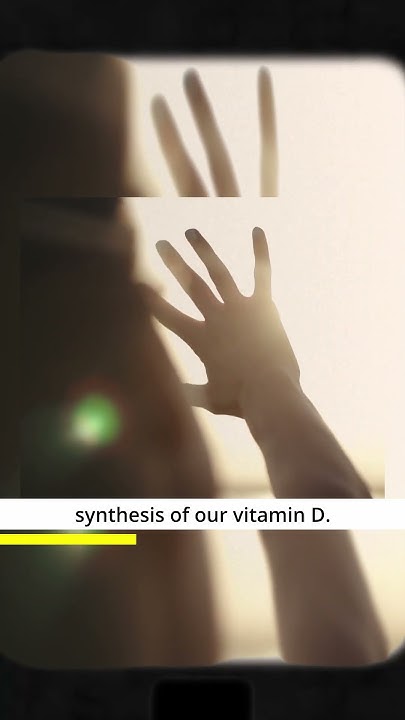 is-there-vitamin-d-in-the-sunlight-science-behind-vitamin-d-shorts