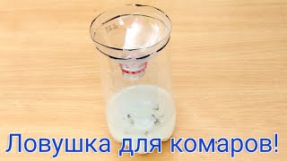 Ловушка для комаров своими руками из пластиковой бутылки