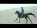 اسرج بالل يل حصانك رايح عالعسكرية فيديو كليب اسرج بالل يل حصانك رايح عالعسكرية فيديو كليب