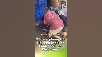 Méo mó phong tục đẹp: Giật cô hồn thành cảnh hỗn loạn phản cảm” #tintuc