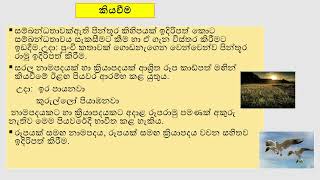 මාරියා මොන්ටිසෝරි Maria Montessori
