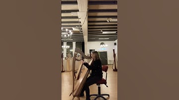 How does this harp sound? #harpmusic #harps #leverharp