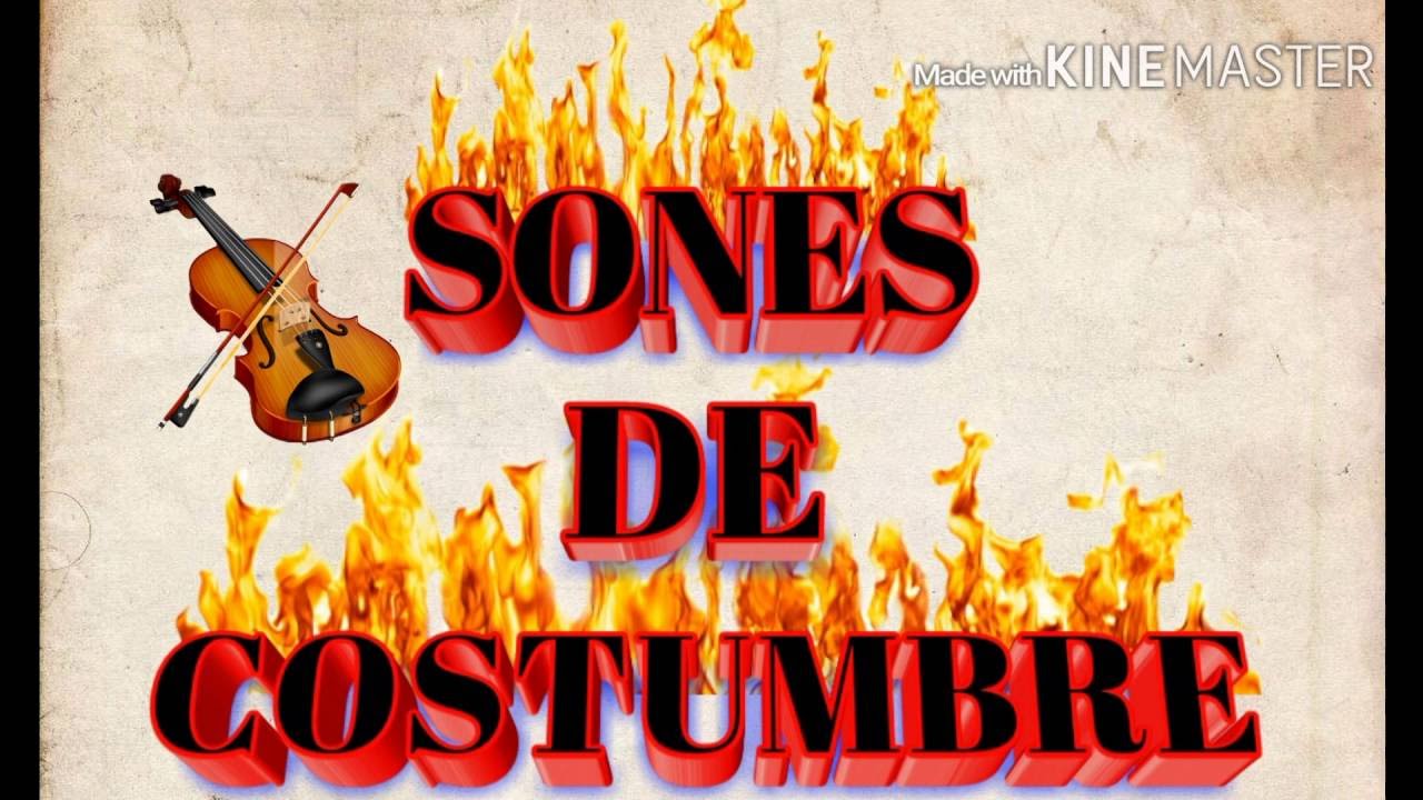 Son De Costumbre 6 - Trio Diversión Huasteca*