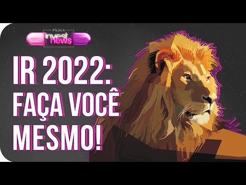 Como declarar Imposto de Renda 2022 sozinho! Passos simples