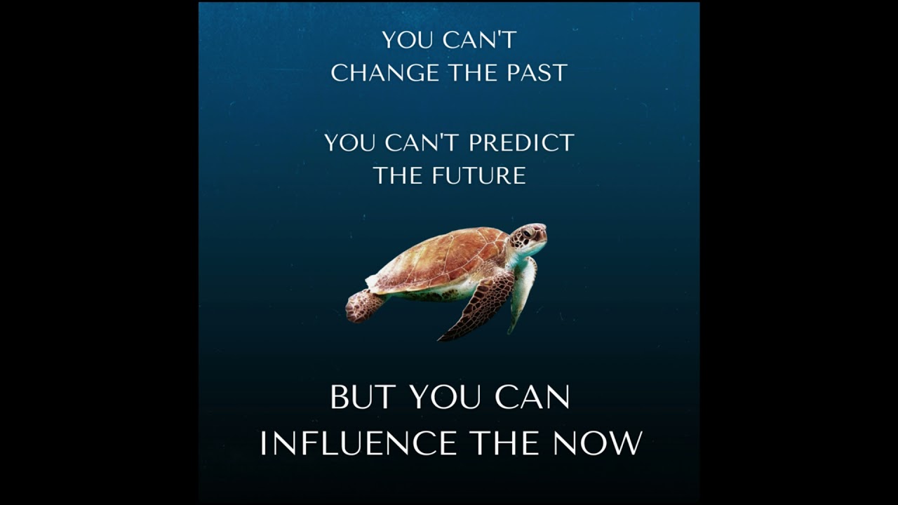 Cross-Cultural Currents: Larry’s Deep Dive into Thai Society