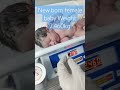 Most Beautiful And Chubby 2 460 Kg Newbornbaby After Birth Baby Shorts Jiyatanwar05 Trending