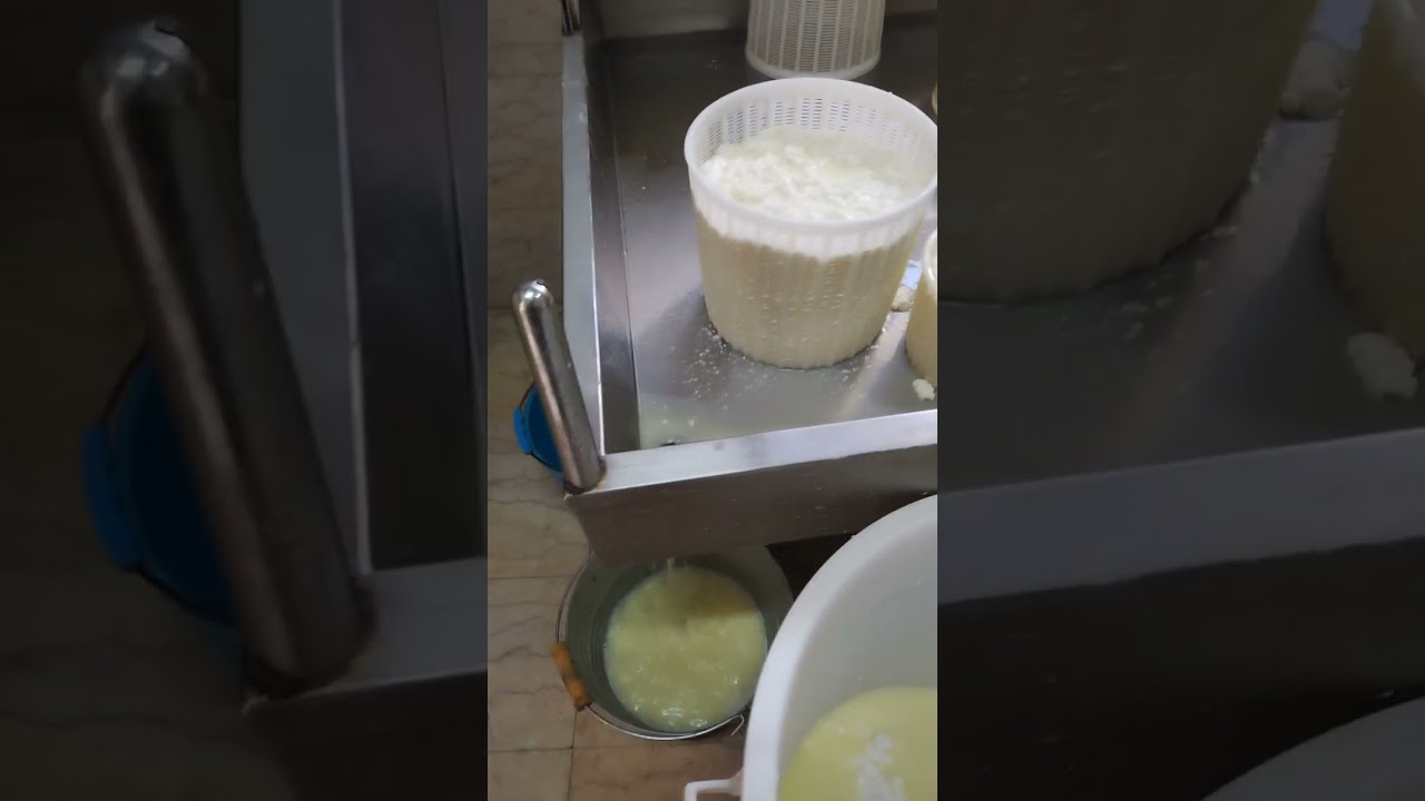 Sicilia in camper. Preparazione dal vivo della ricotta e della tuma di pecora a Purgatorio