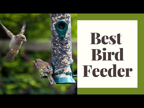 Choosing The Best Birdfeeders