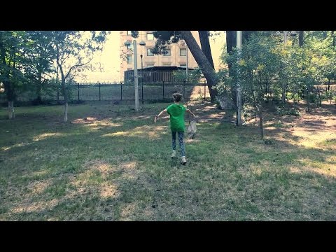 გირჩების დარიგების აქცია