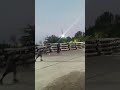 # viral video# short video# youtube .com # children 💯 💯 🚉 🚉# kids # skating # slating practice ⛸️