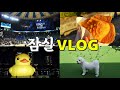일상vlog) 잠실농구직관, 잠실맛집, 애견카페,서울삼성썬더스, 잠실새내맛집, 잠실실내체육관, 위드멍, 석촌호수, 귀여운러버덕, 마무리는 인생네컷