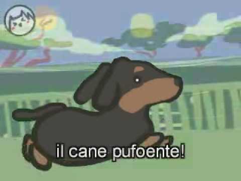 il-cane-pufoente-nuovo-tormentone