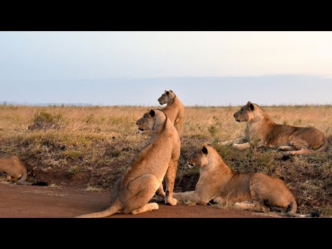 FILME DE TERROR DE 2007 COMPLETO E DUBLADO