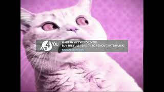Respondview 2 Numa Cat 2022