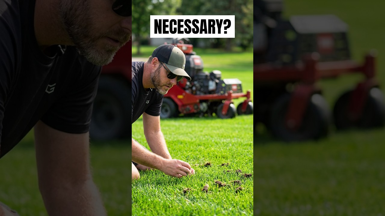 ONLY Do This If You Want A THICKER Lawn This Fall #howto #diy