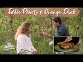 Native Edible and Medicinal Plants & Sesame Orange-Glazed Duck w/ Dipping Sauce (Episode #207)