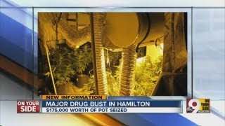 More than $175,000 worth of marijuana seized at Hamilton grow house