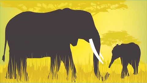 Impact 2 - Unit 4, Activity 2