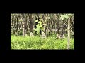 Rubber Farm#shorts#ytshorts#shortsfeed#farming#
