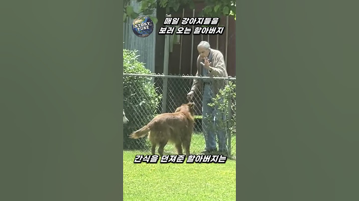 94세 할아버지가 매일 찾아오시는 이유