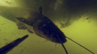 видео: Я рискнул и проиграл картинка: Я рискнул и проиграл