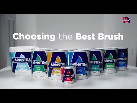 Choosing the Best Brush