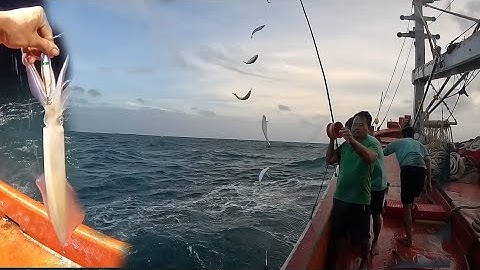 Biển sóng lớn không làm lưới nên câu cá câu mực kiếm tiền|Ra khơi 2023-Tập48|Sóng biển Hứa Đông