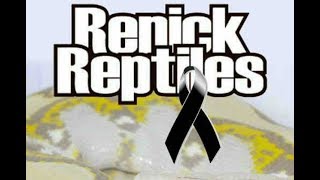 In Memory of Ben Renick of Renick Reptiles - May He Rest In Peace :(