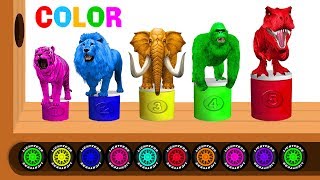 learn colors with animals wooden xylophone car tires toy learning colors animals car tires