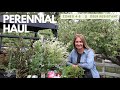 Perennial plant haul  mostly zones 48  deer resistant