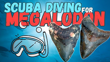 Scuba Diving for Megalodon Shark Teeth in Florida